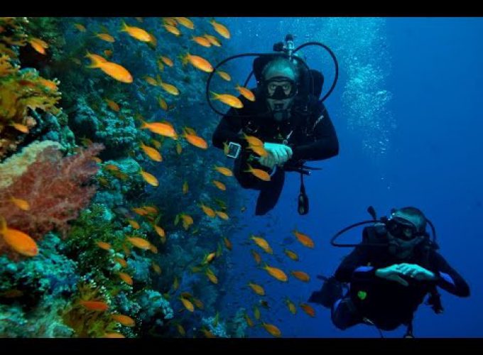 Noun Travel Tours